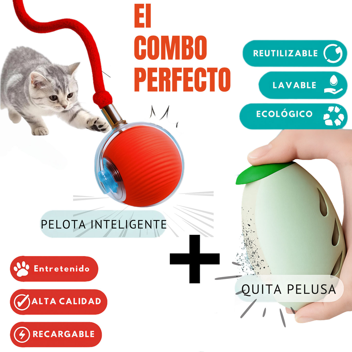 El Combo Perfecto para tu Gato y tu Hogar