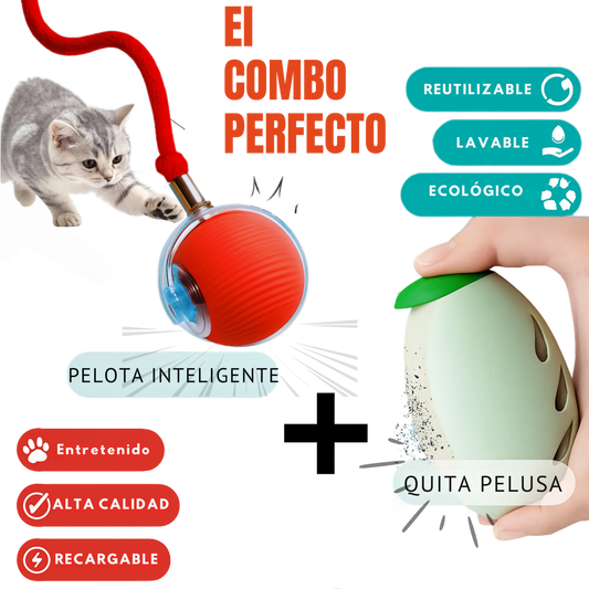El Combo Perfecto para tu Gato y tu Hogar
